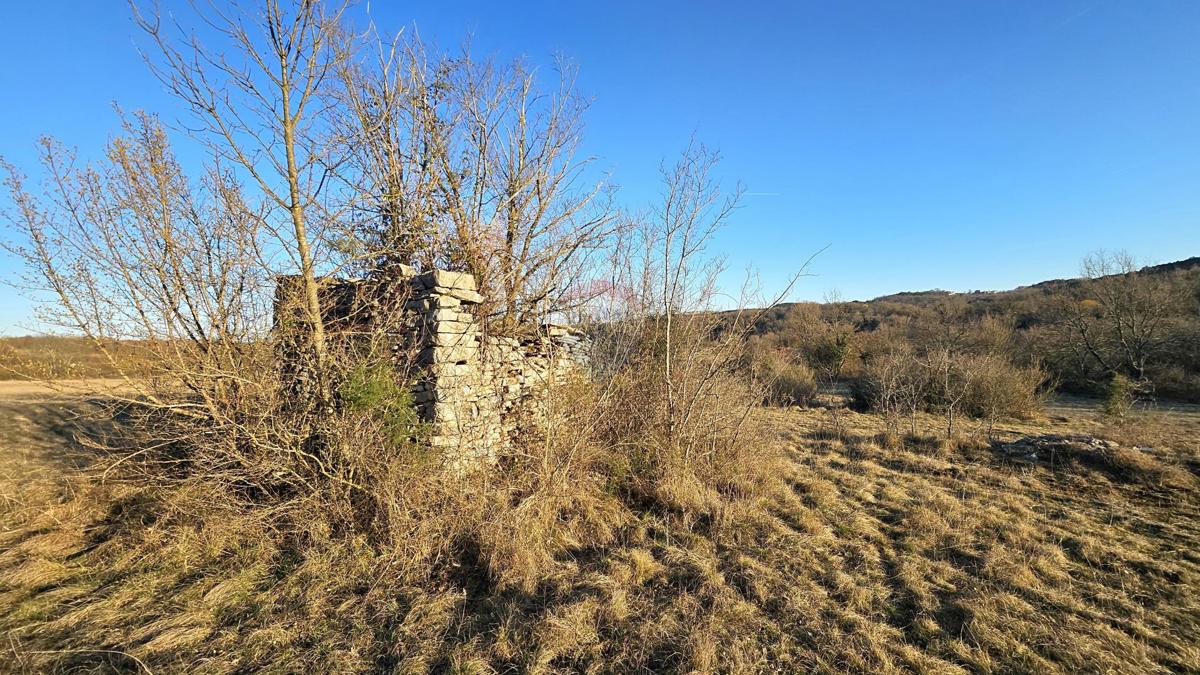 GROŽNJAN