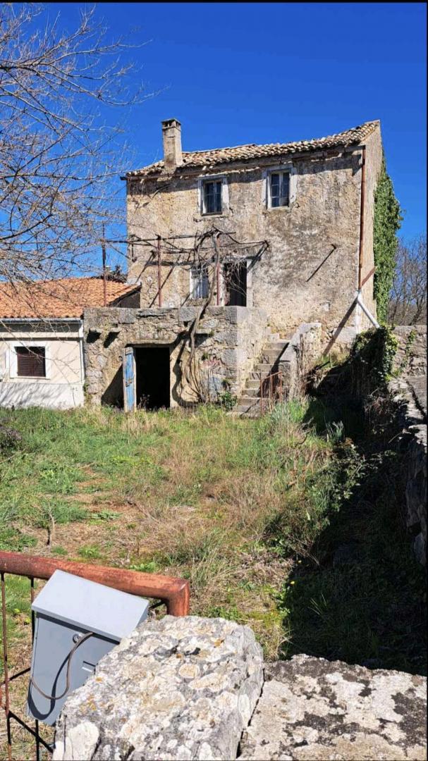 VRBNIK
