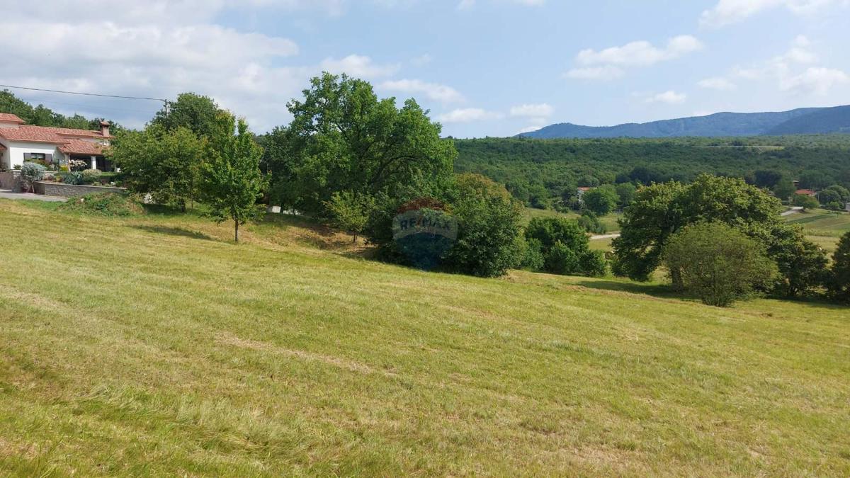 LUPOGLAV
