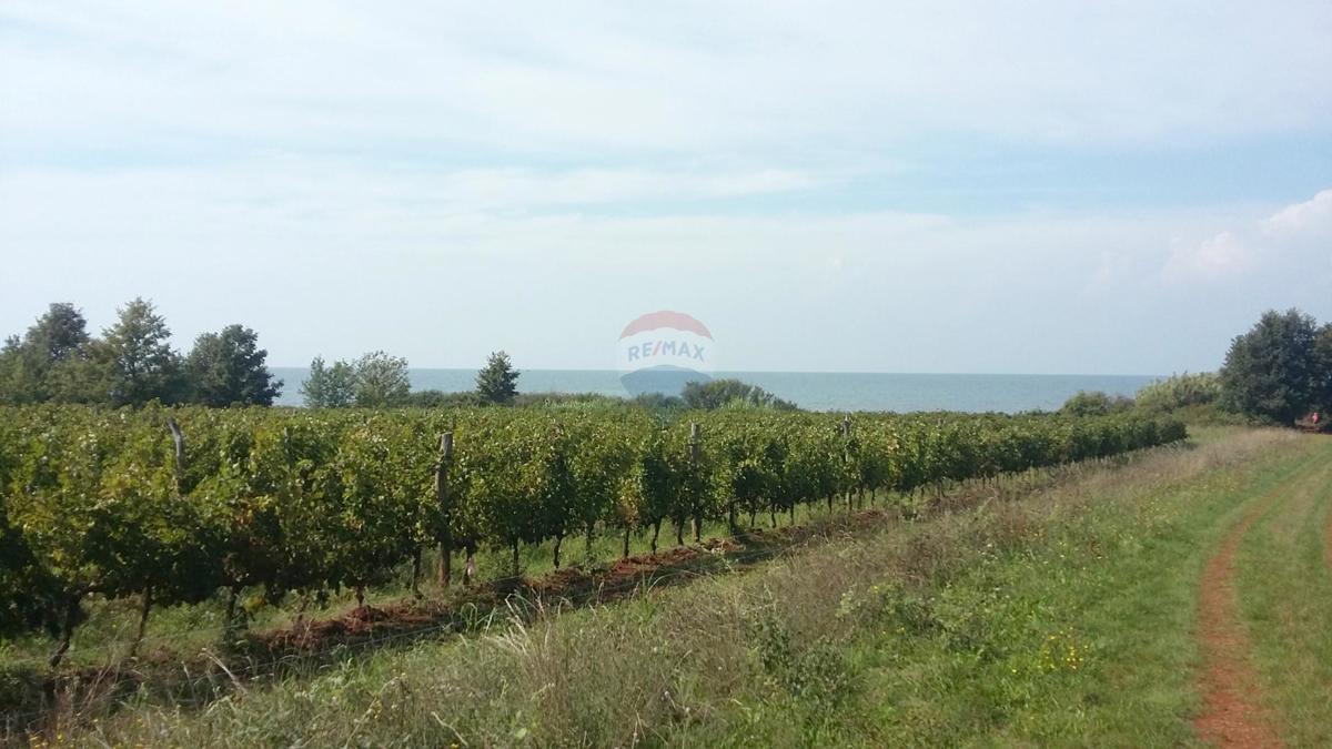 LOVREČICA