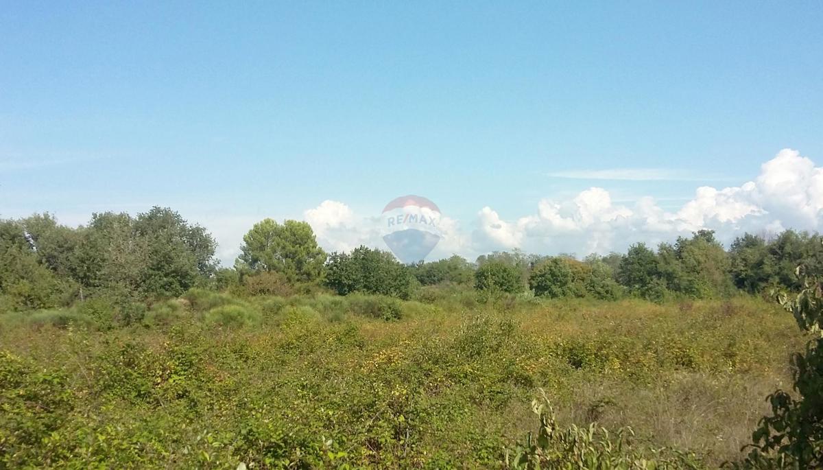 LOVREČICA