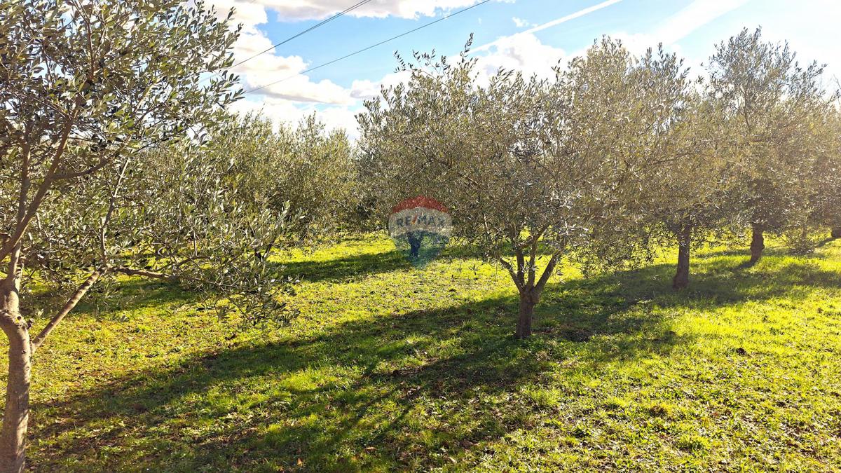 Terreno UMAG, 111.000 €