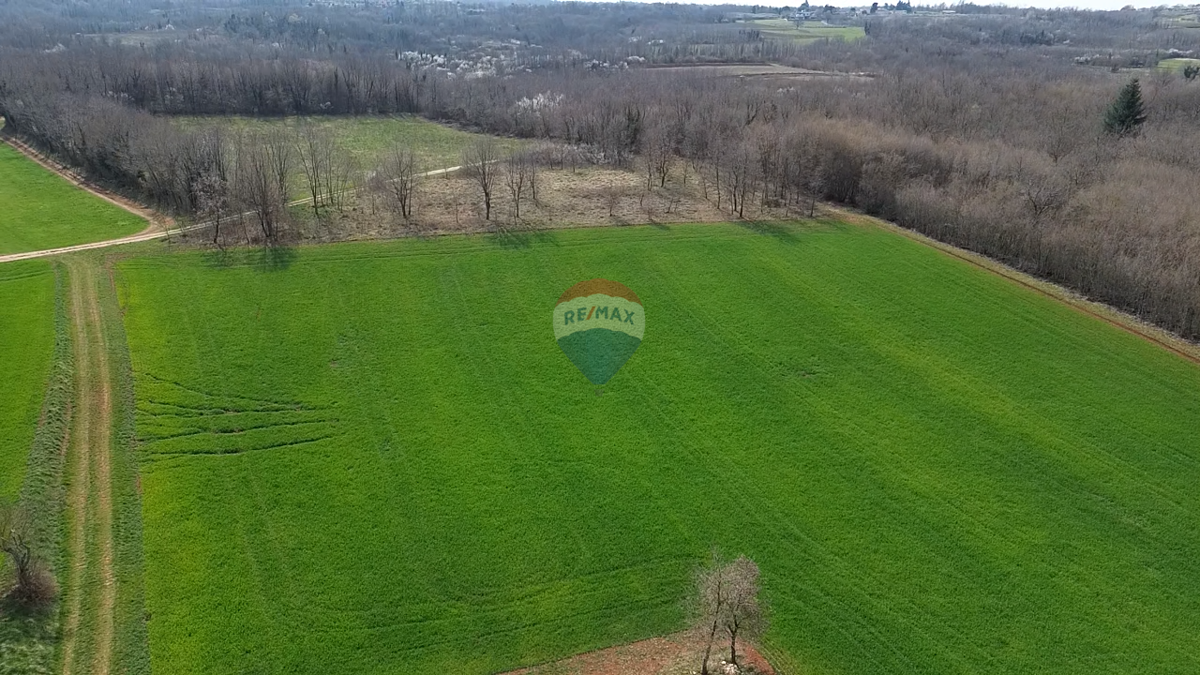 Terreno VIŽINADA, 149.000 €