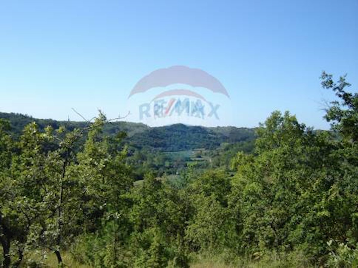 NOVAKI MOTOVUNSKI