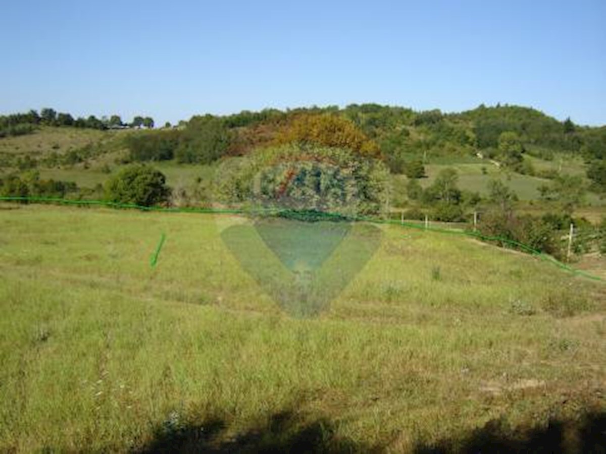 NOVAKI MOTOVUNSKI
