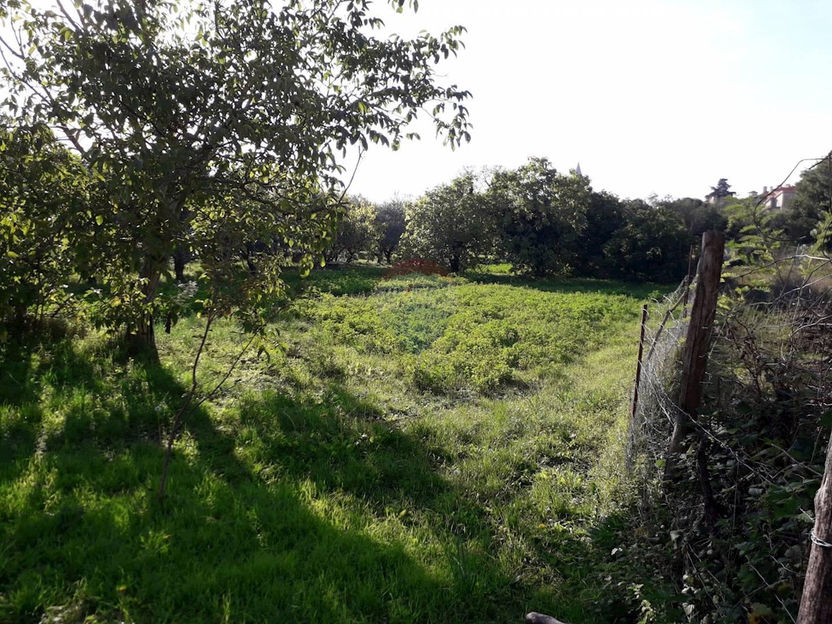 VODNJAN