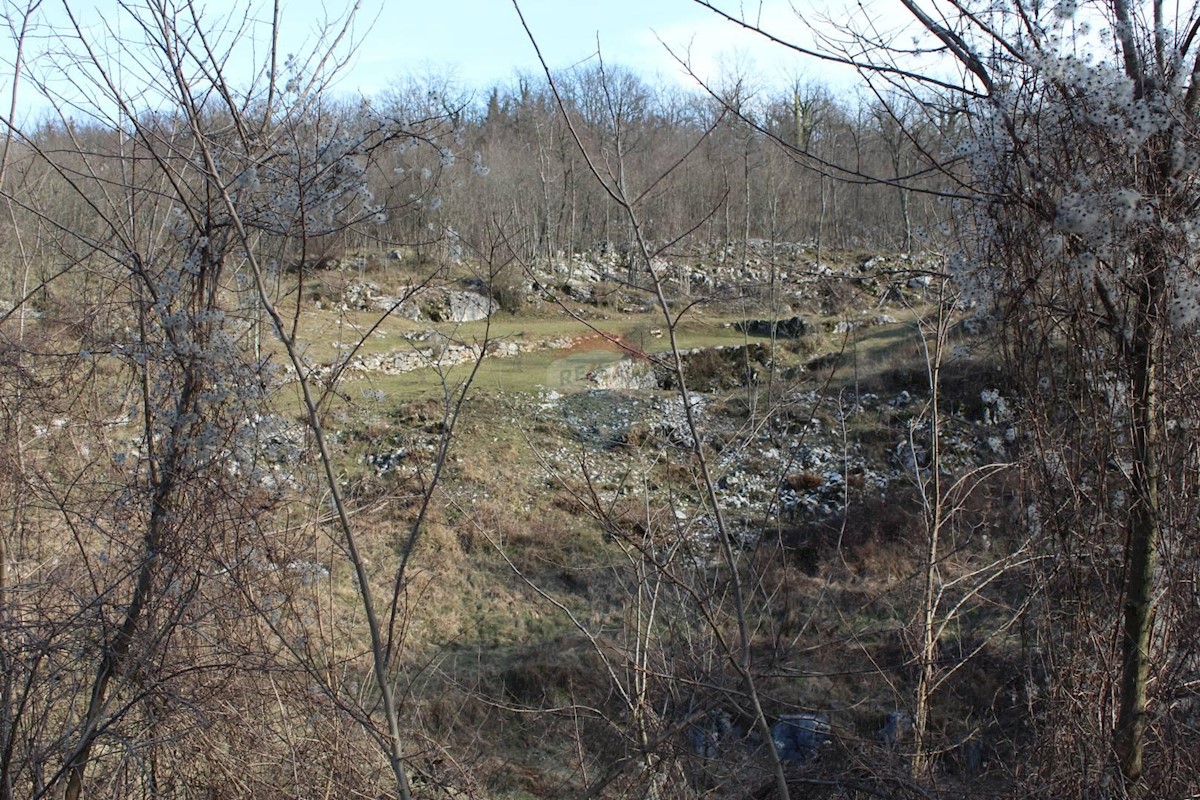 MUČIĆI