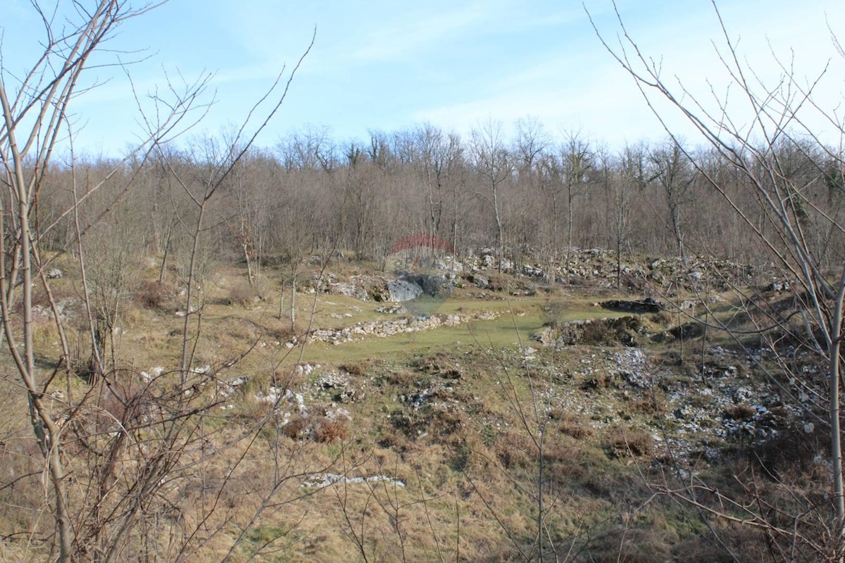 MUČIĆI