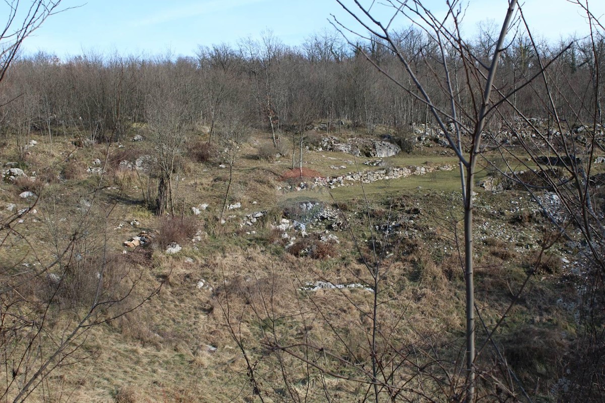 MUČIĆI