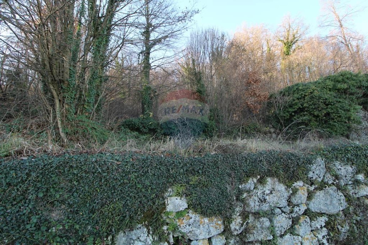 KUČELI