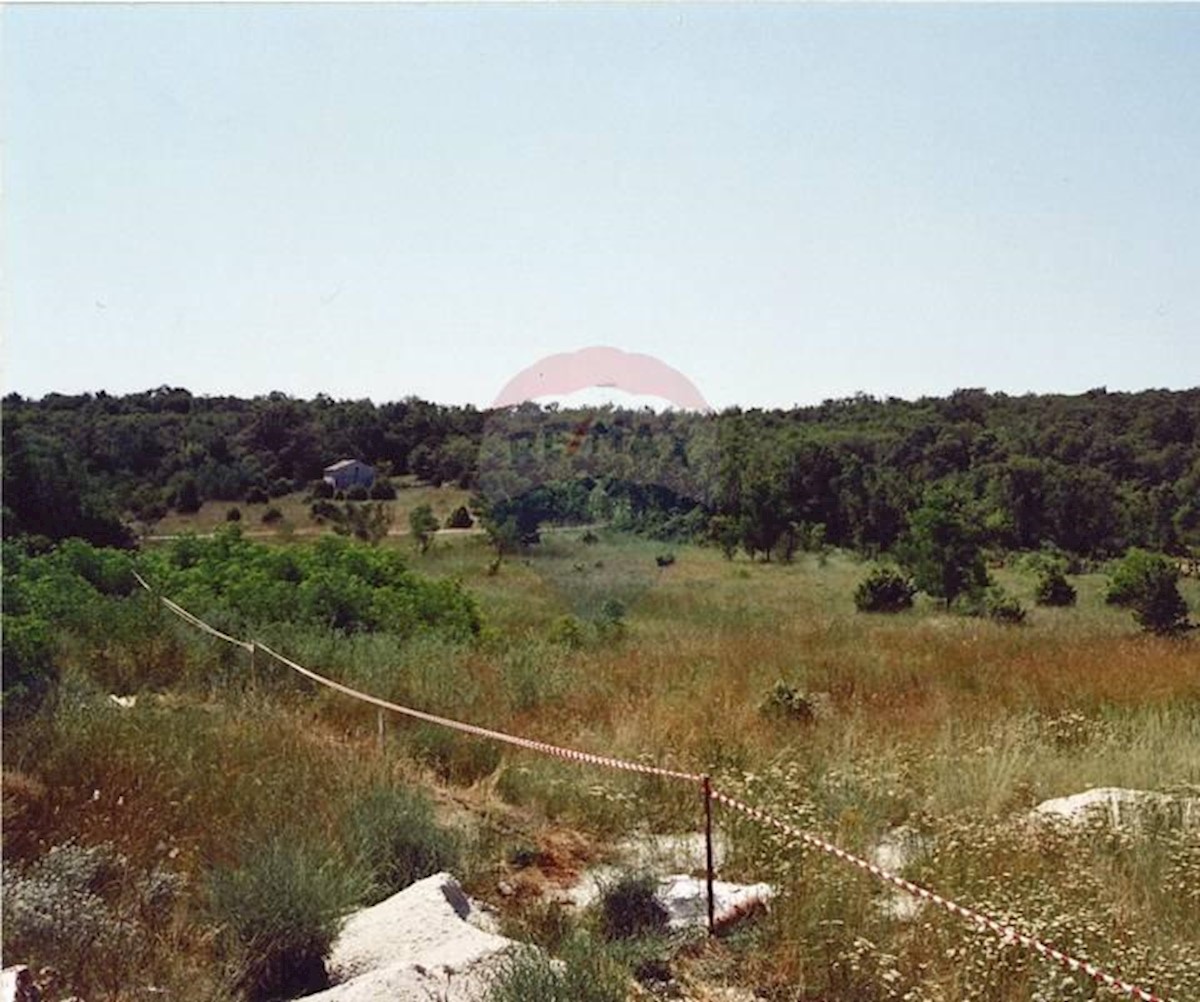 ŠORIĆI