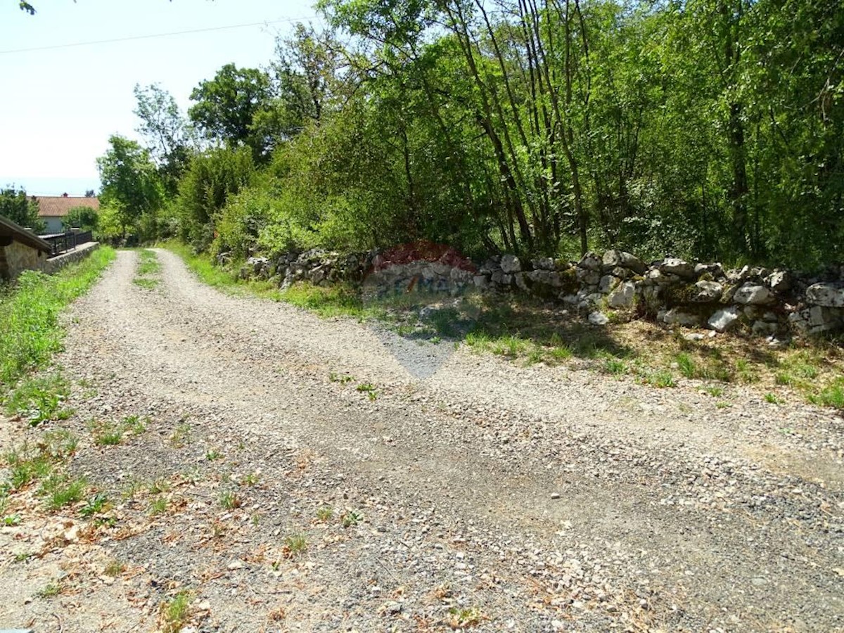 SRDOČI