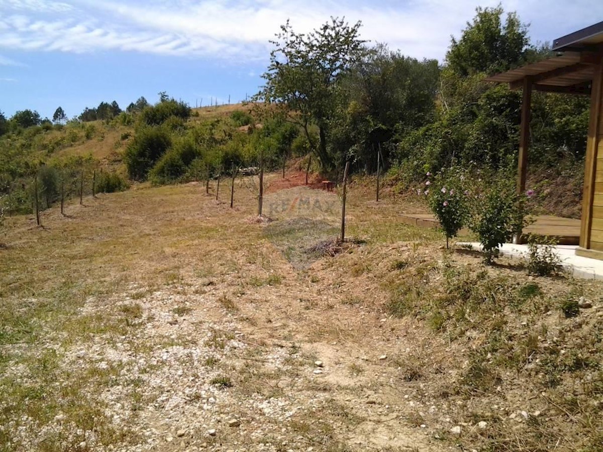 GRIMALDA