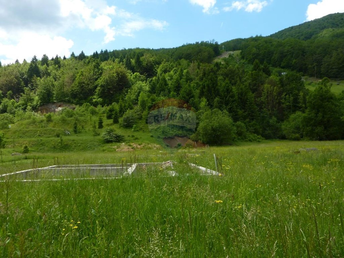 JASENAK