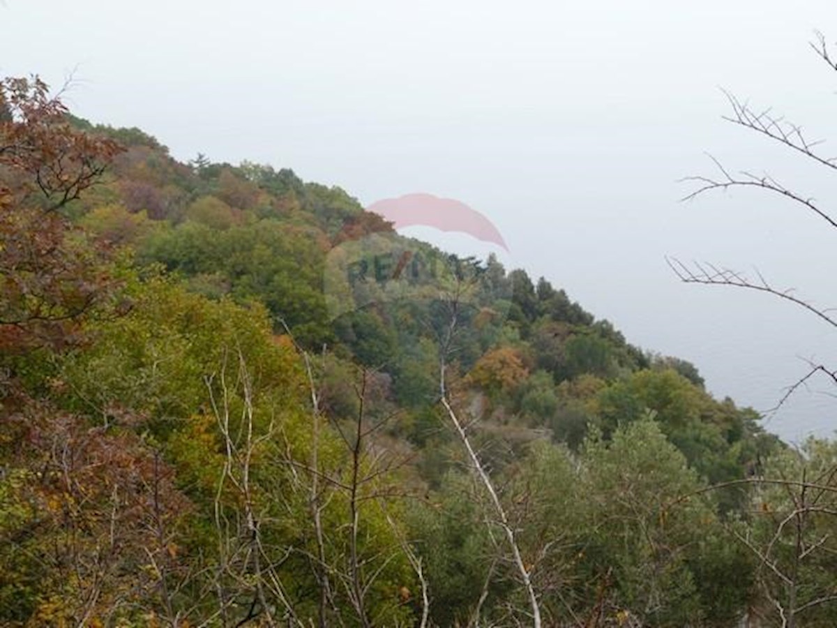 BRSEČ