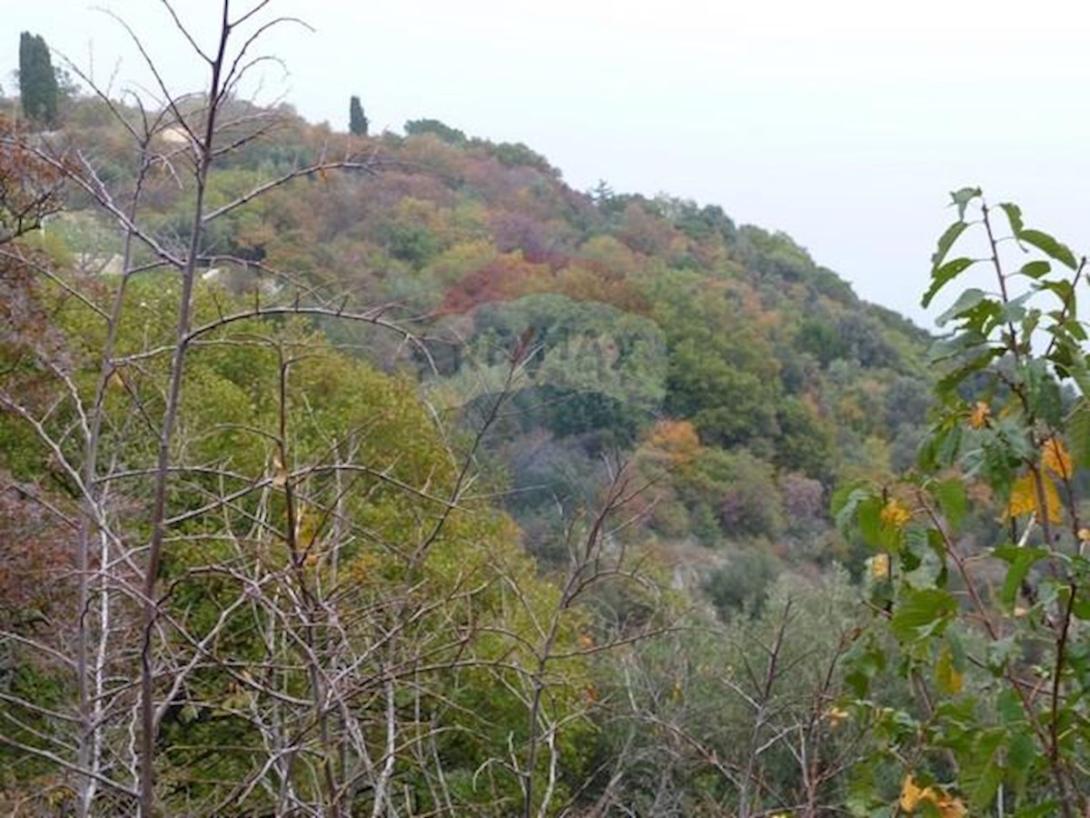 BRSEČ