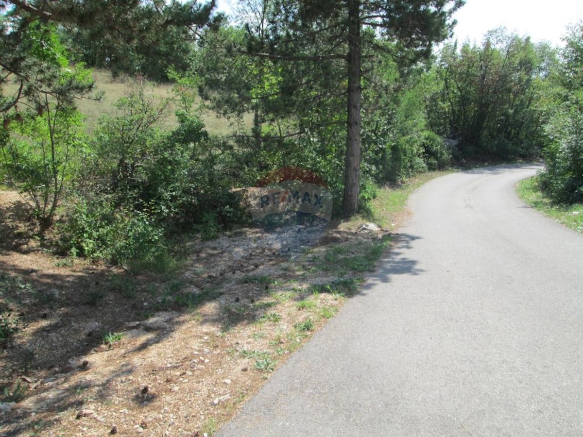 MARČELJI
