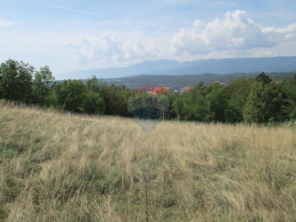 MARČELJI