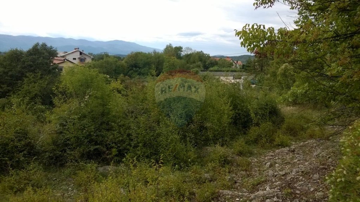 MARČELJI
