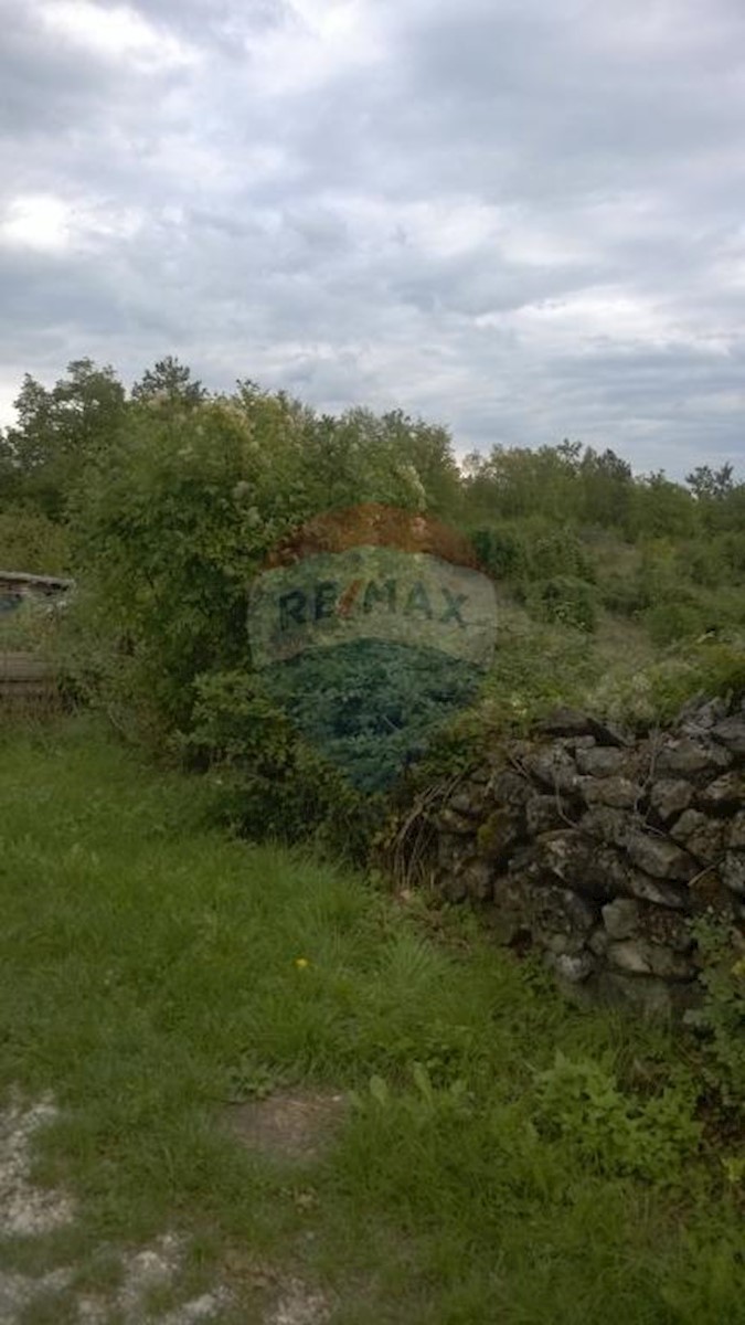 MARČELJI