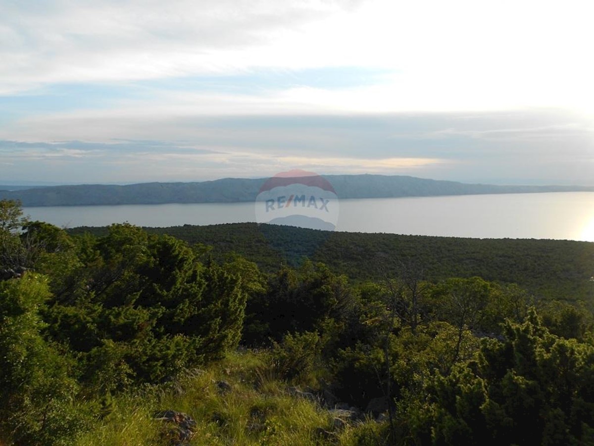 STARIGRAD