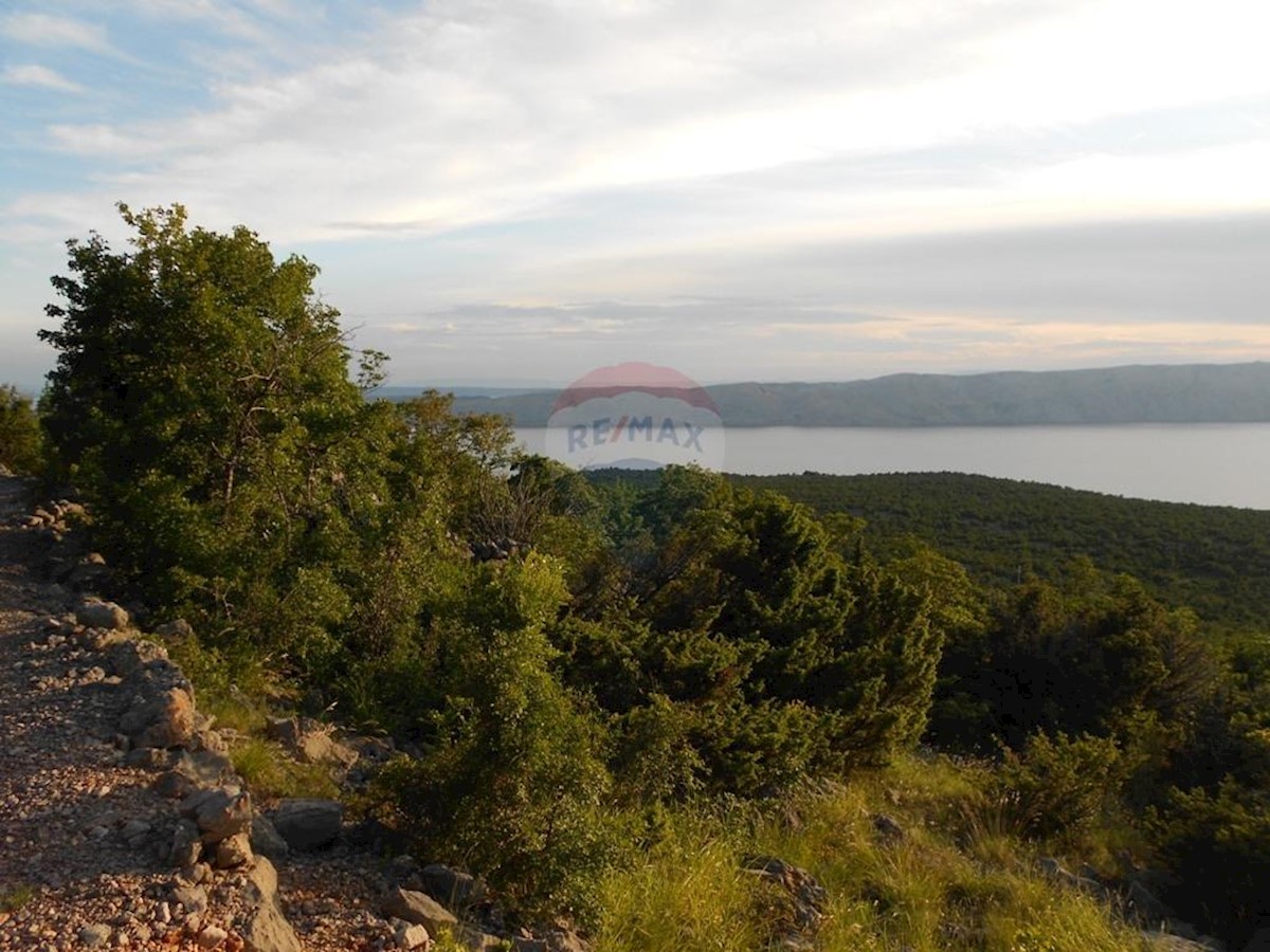 STARIGRAD