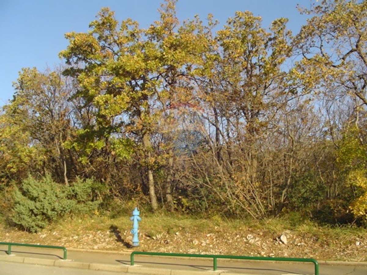 KOSTRENA SVETA LUCIJA