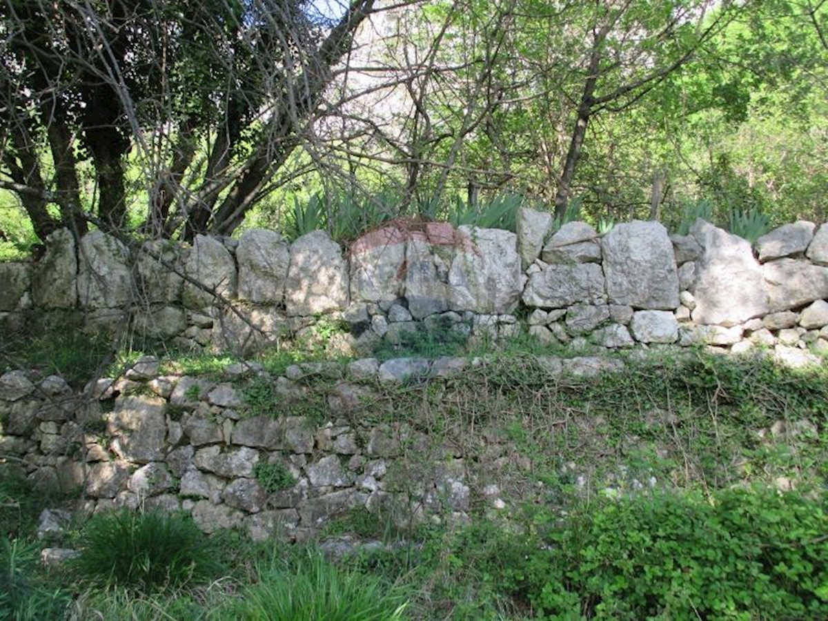 BRIBIR