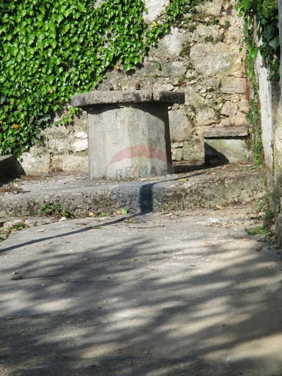 BRIBIR