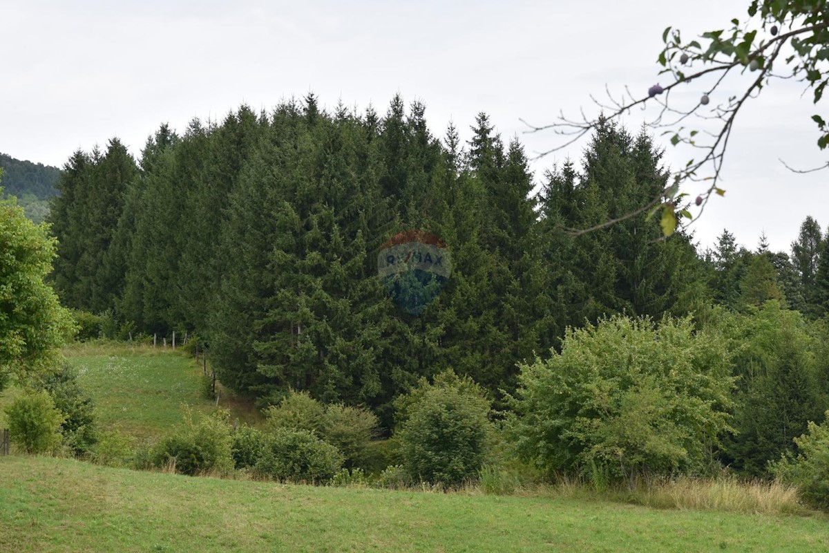 HAMBARIŠTE