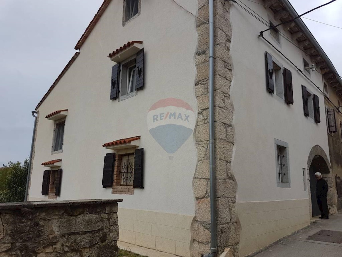 VIŽINADA