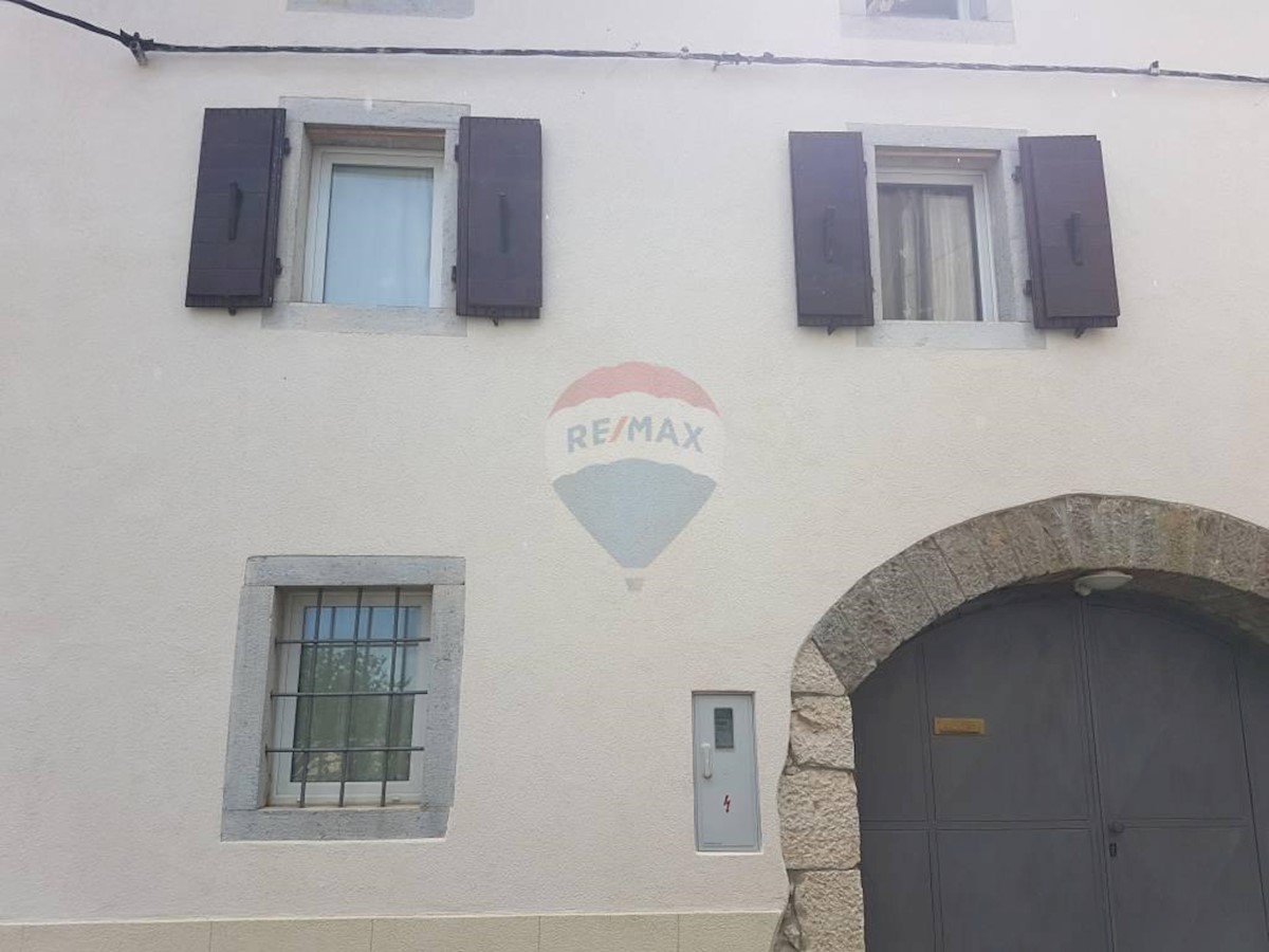 VIŽINADA