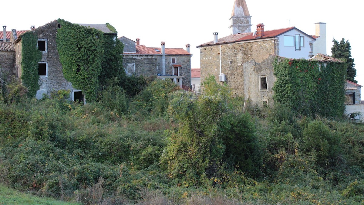 BUJE
