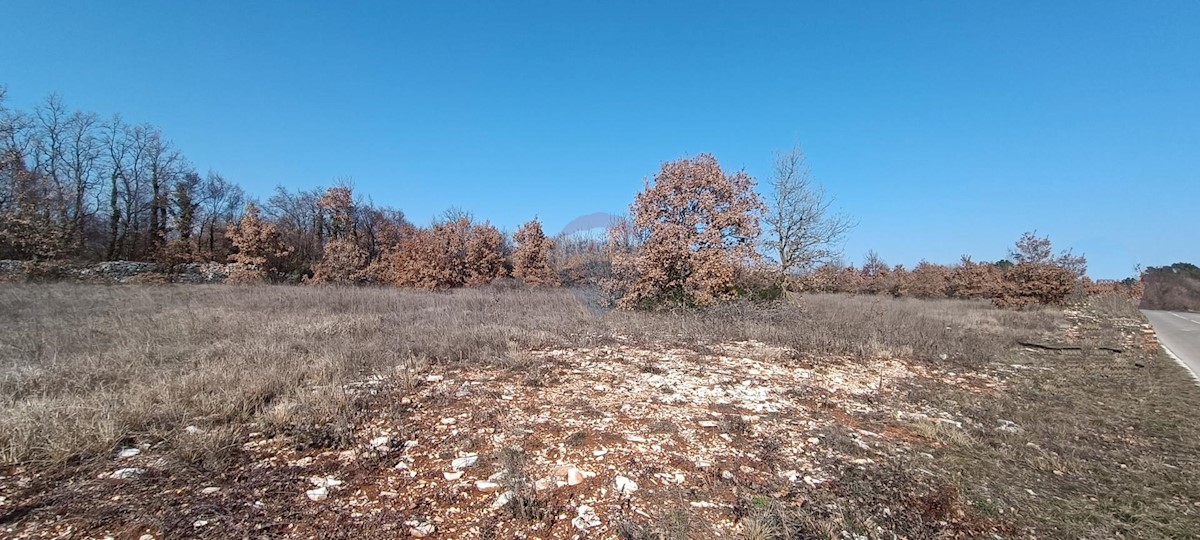 SMOLJANCI