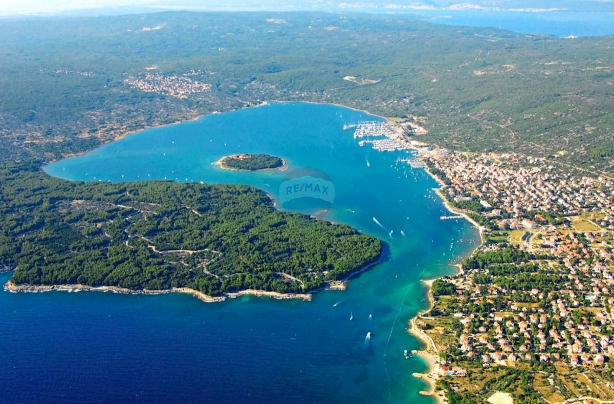 PUNAT