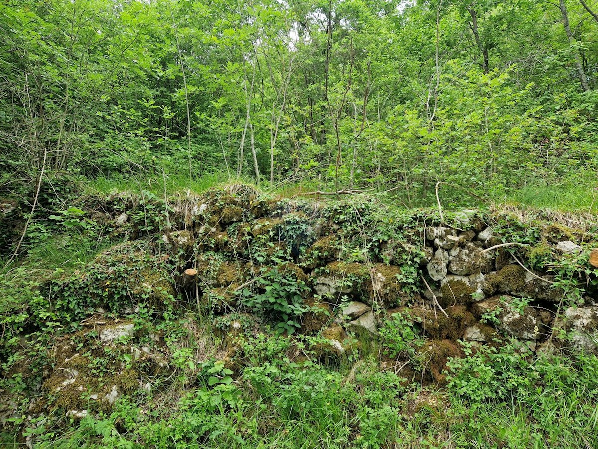VEPRINAC