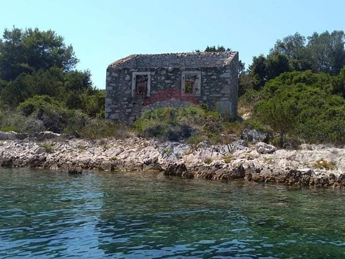 VELI IŽ