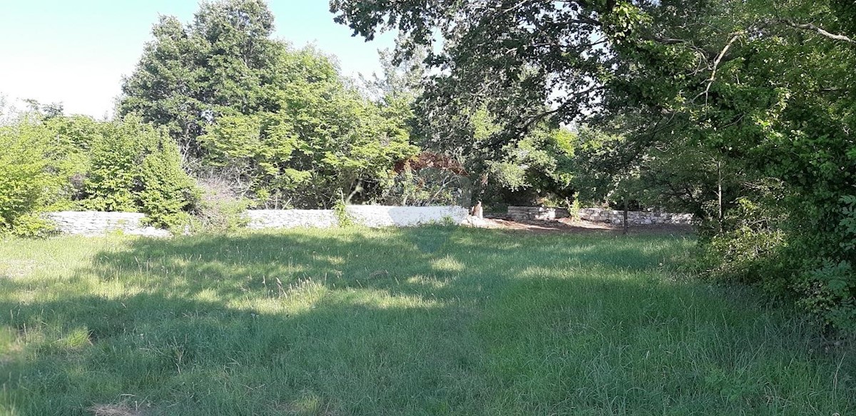 VODNJAN