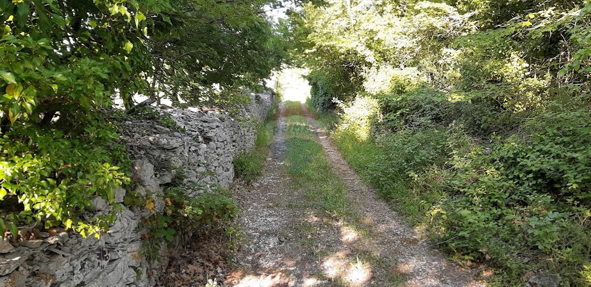 VODNJAN
