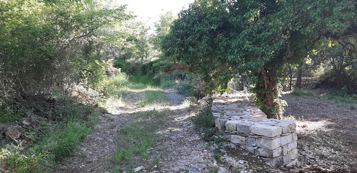 VODNJAN