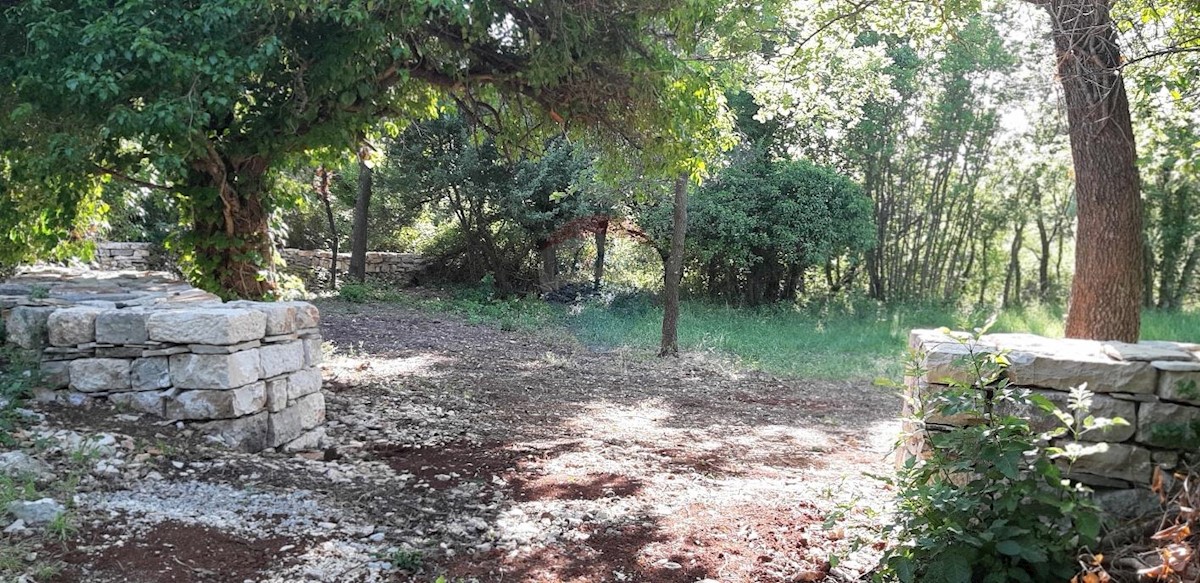 VODNJAN