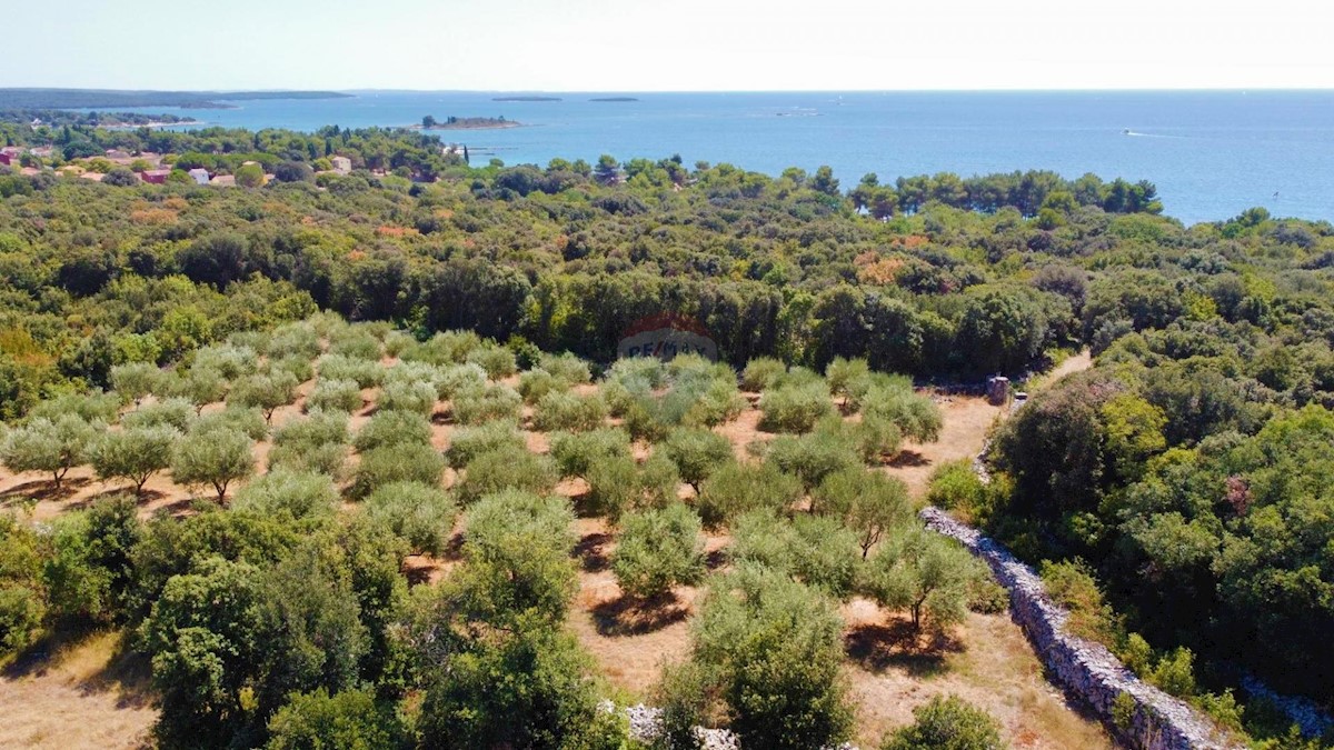 ROVINJ