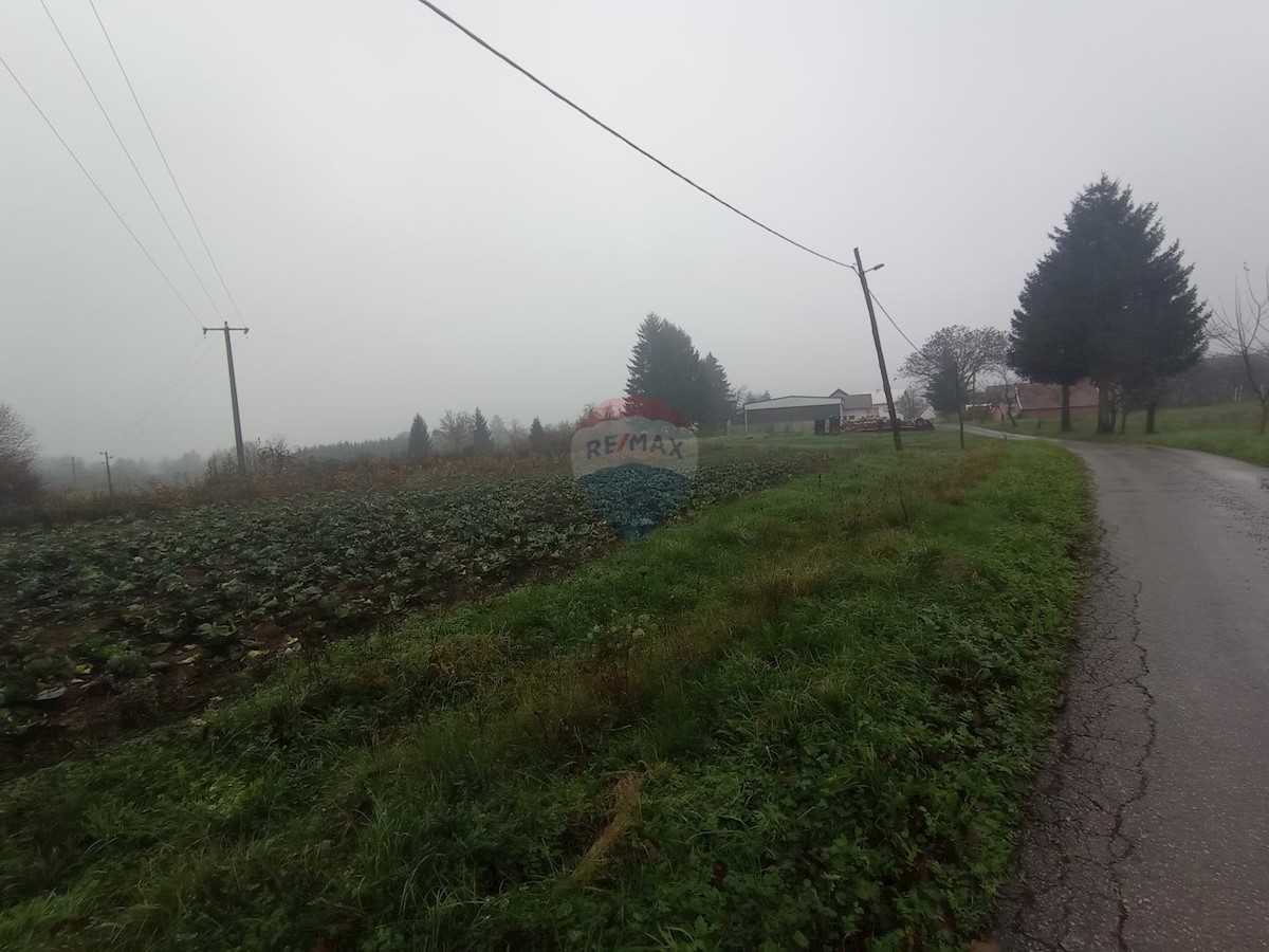 OGULIN
