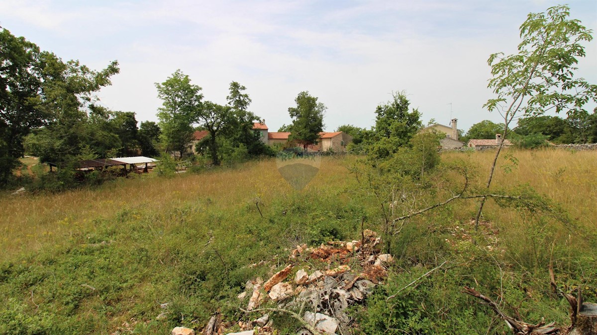 MAKOVCI