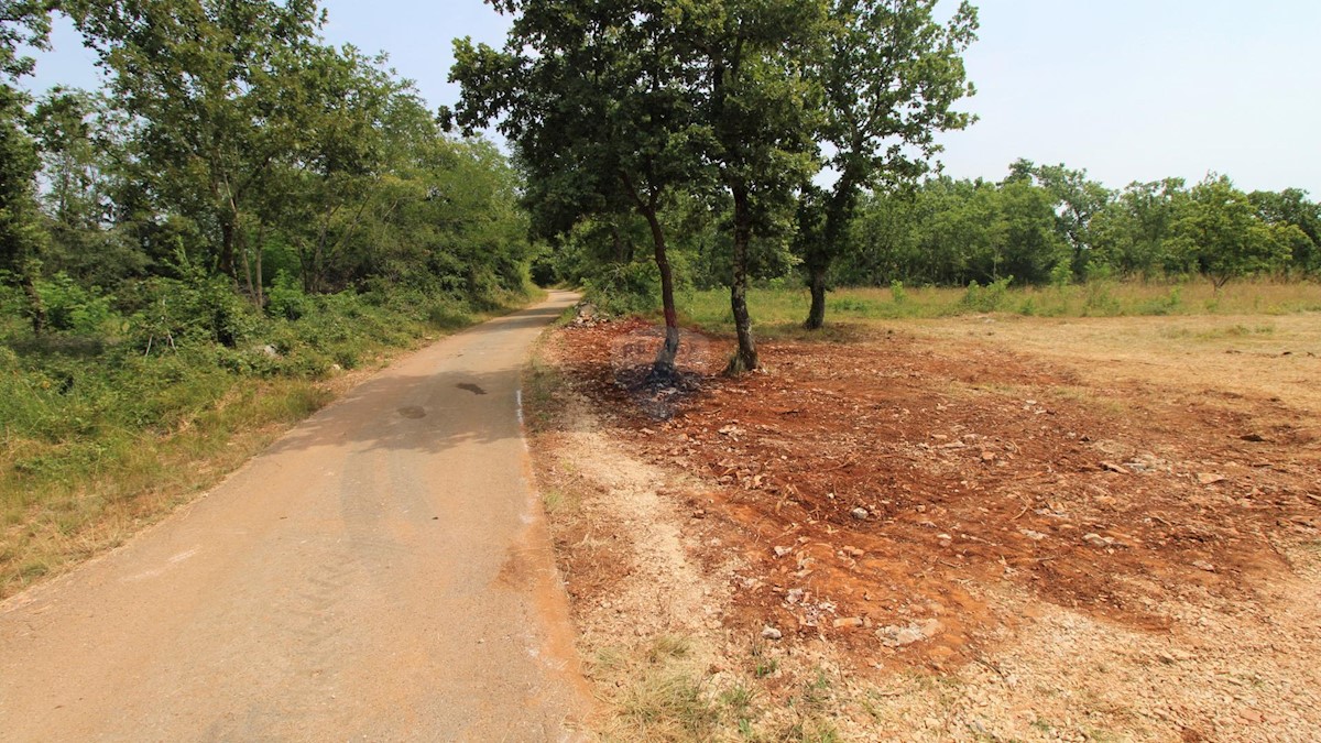 MAKOVCI
