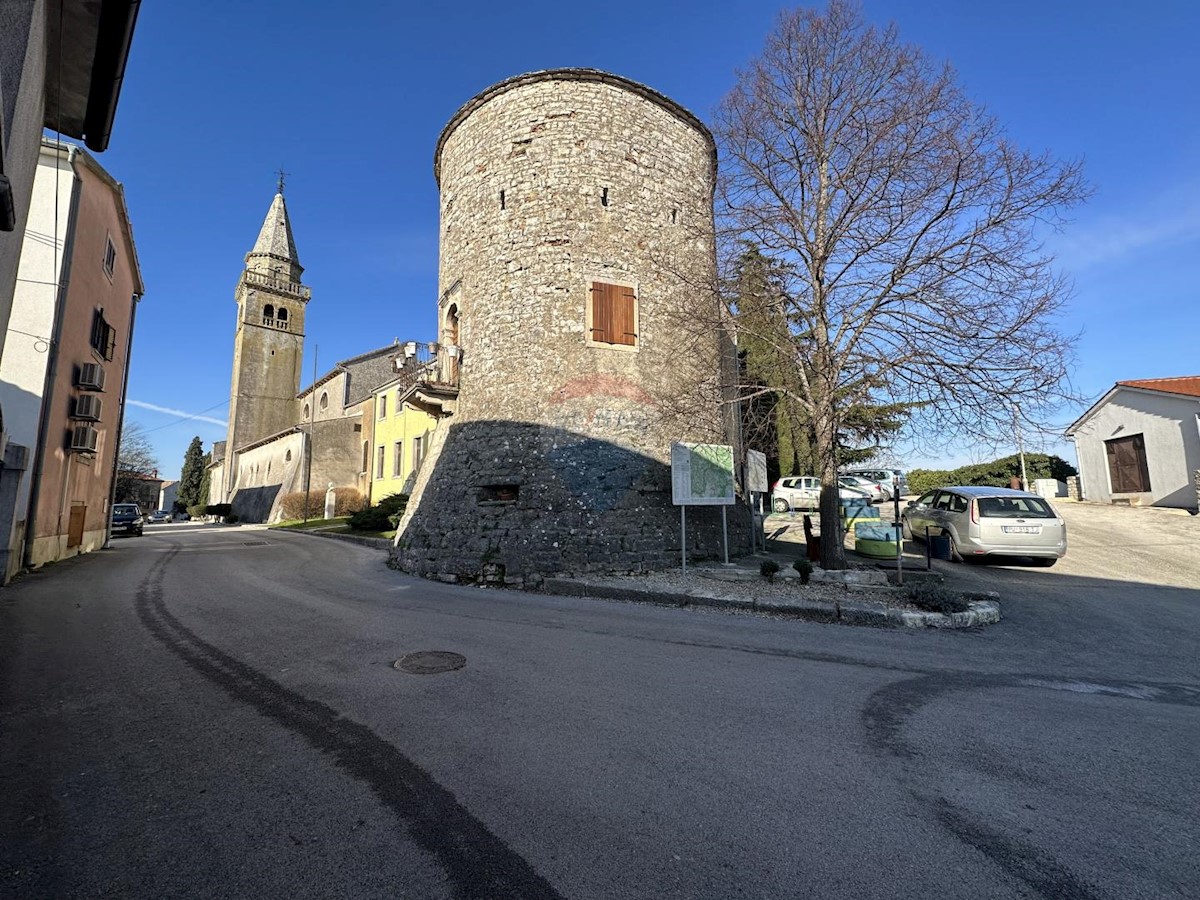 ŽMINJ