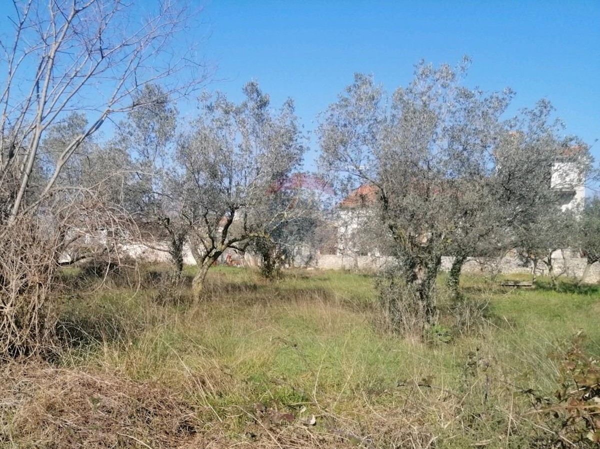 GALIŽANA