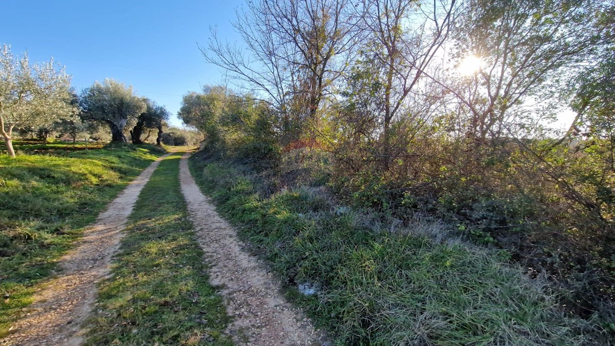 ROVINJSKO SELO