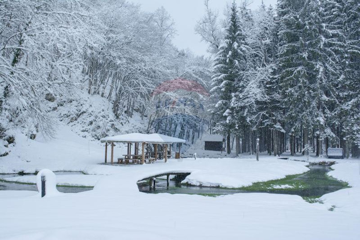 NOVA KRŠLJA