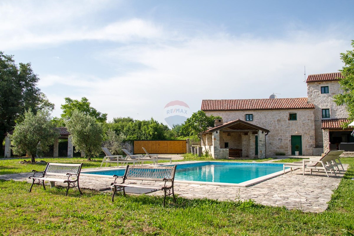 BIČIĆI